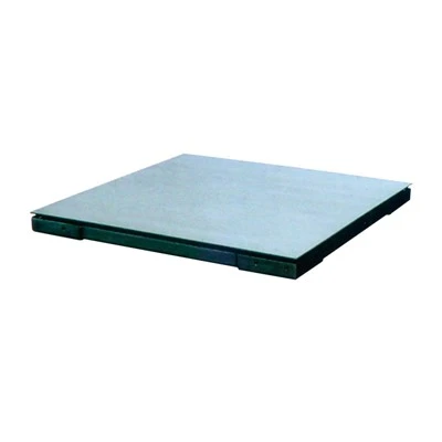 Industrial Platform Scale